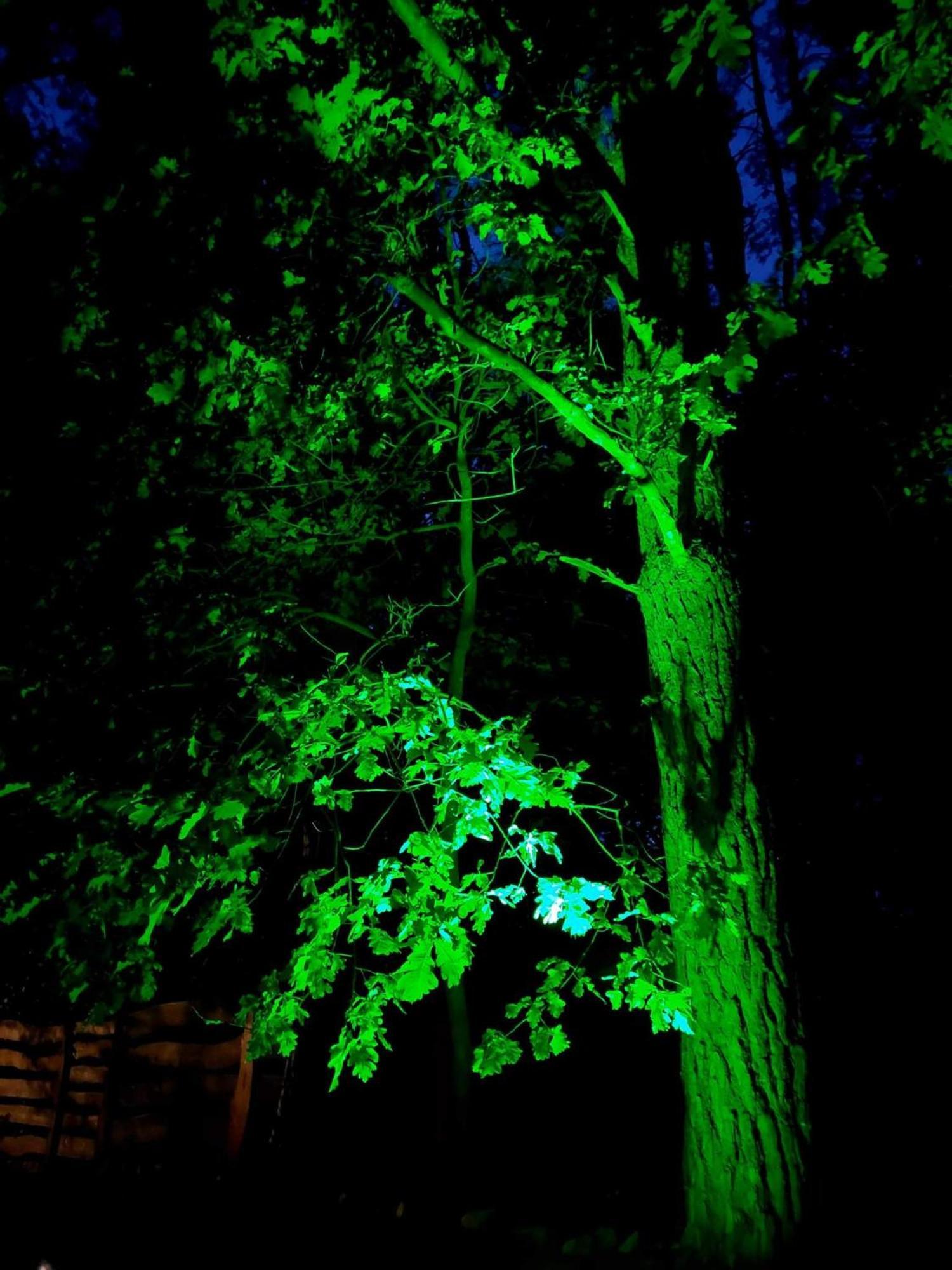 Saski Zakatek, Wakacje W Bajkowym Domku!!! Mazury, Sauna, Jezioro, Pomost, Sasek Maly Exteriör bild